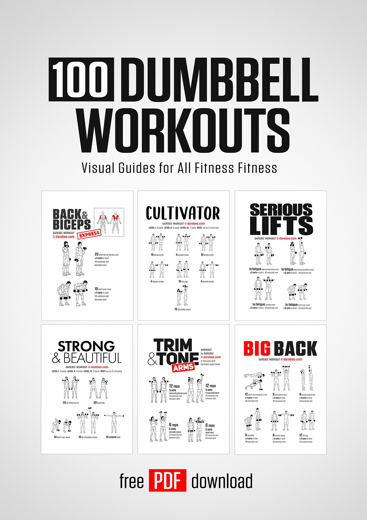100 Dumbbell Workouts Paperback By DAREBEE 100 Dumbbell Workouts Paperback By DAREBEE