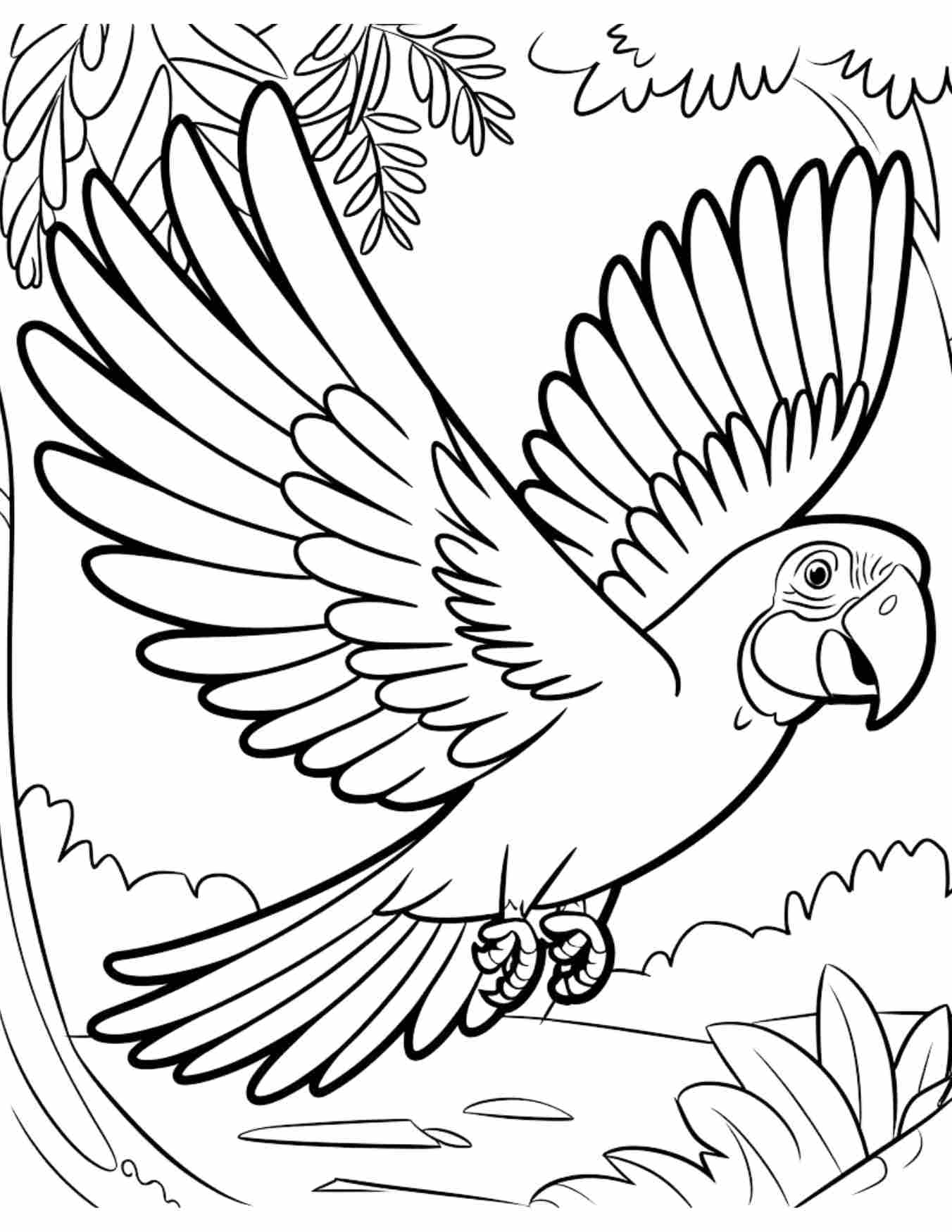 Zentangle Mccaw Printable Coloring Sheet Zentangle Mccaw Printable Coloring Sheet