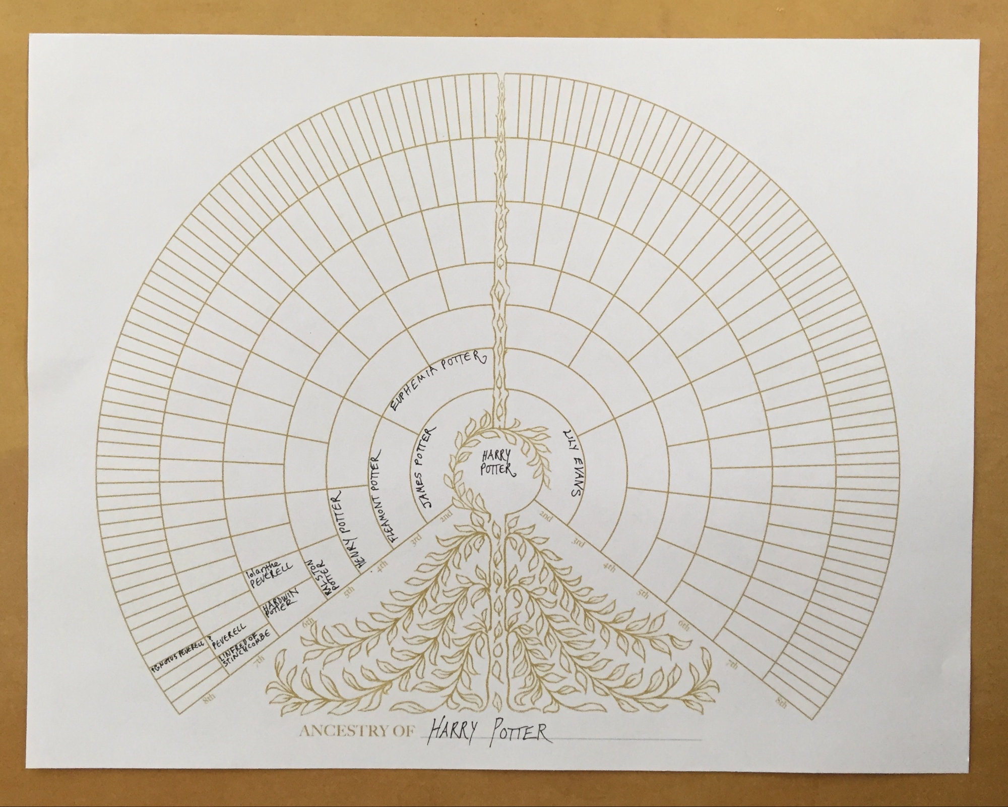 Free Printable 8 Generation Fan Chart