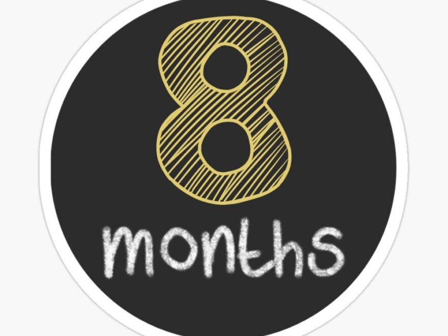 8 Months Baby Milestones Magnet For Sale By Anagoldpez Redbubble