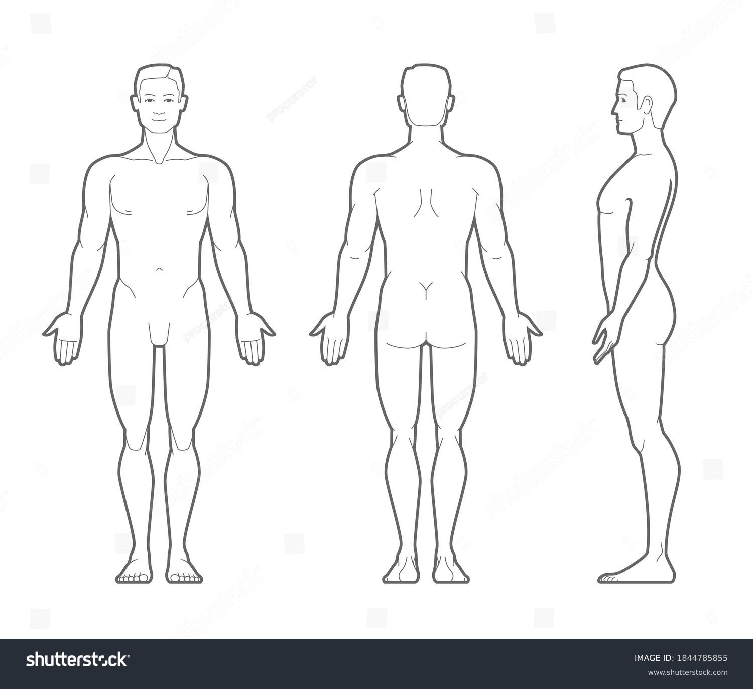 83 Thousand Male Body Outline Royalty Free Images Stock Photos Pictures Shutterstock