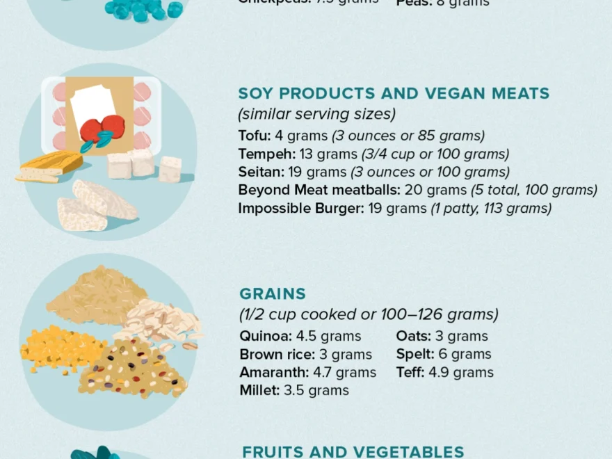 A Comprehensive Chart Of Vegan Protein Sources