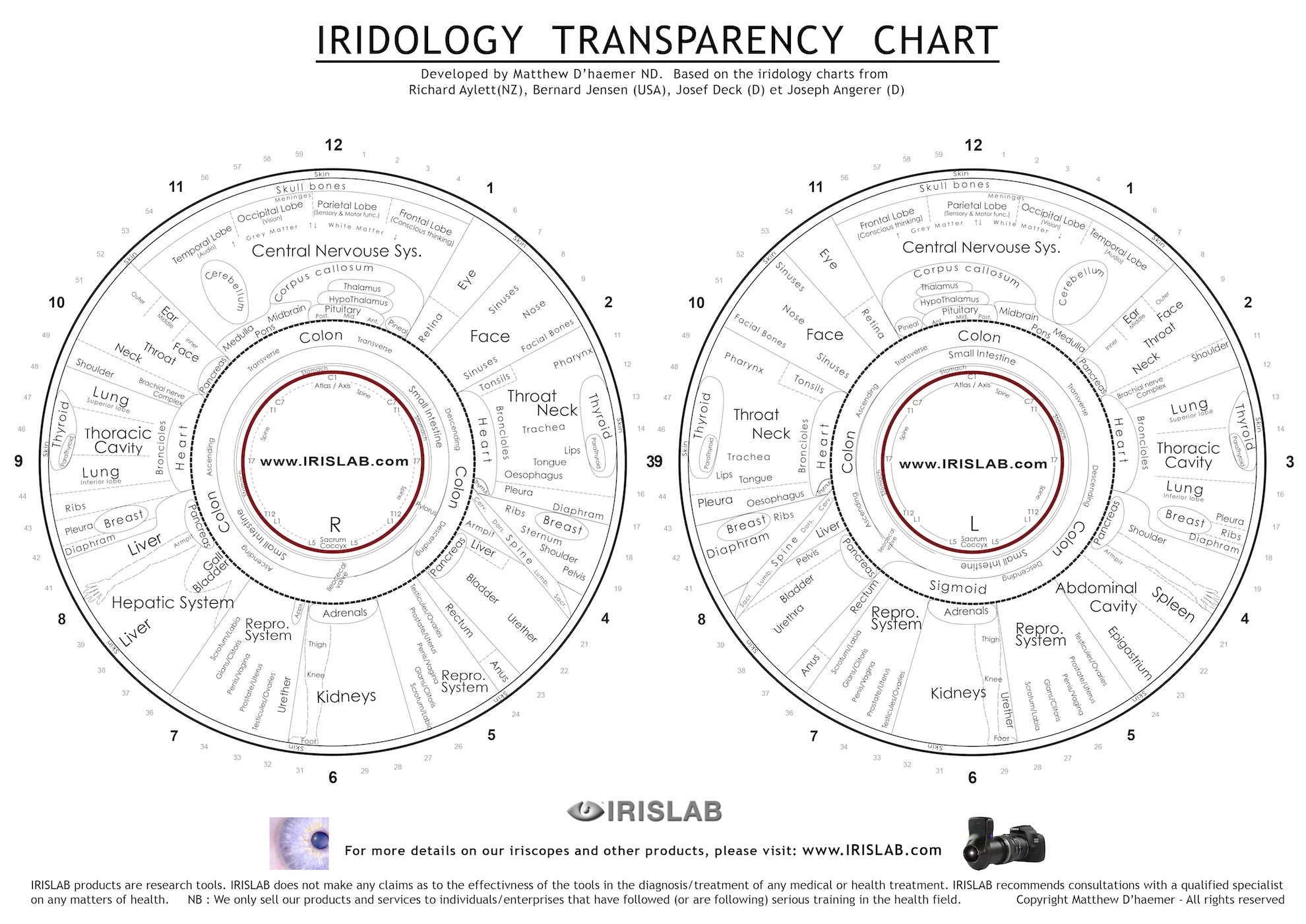 Free Printable Eyeology Chart