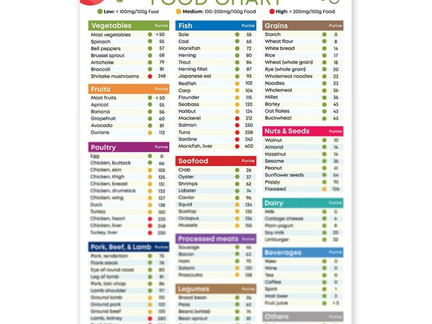 Amazon Gout Diet Food List Poster 12x18 Inches Unframed Low Purine Foods Gout Grocery Chart Posters Prints