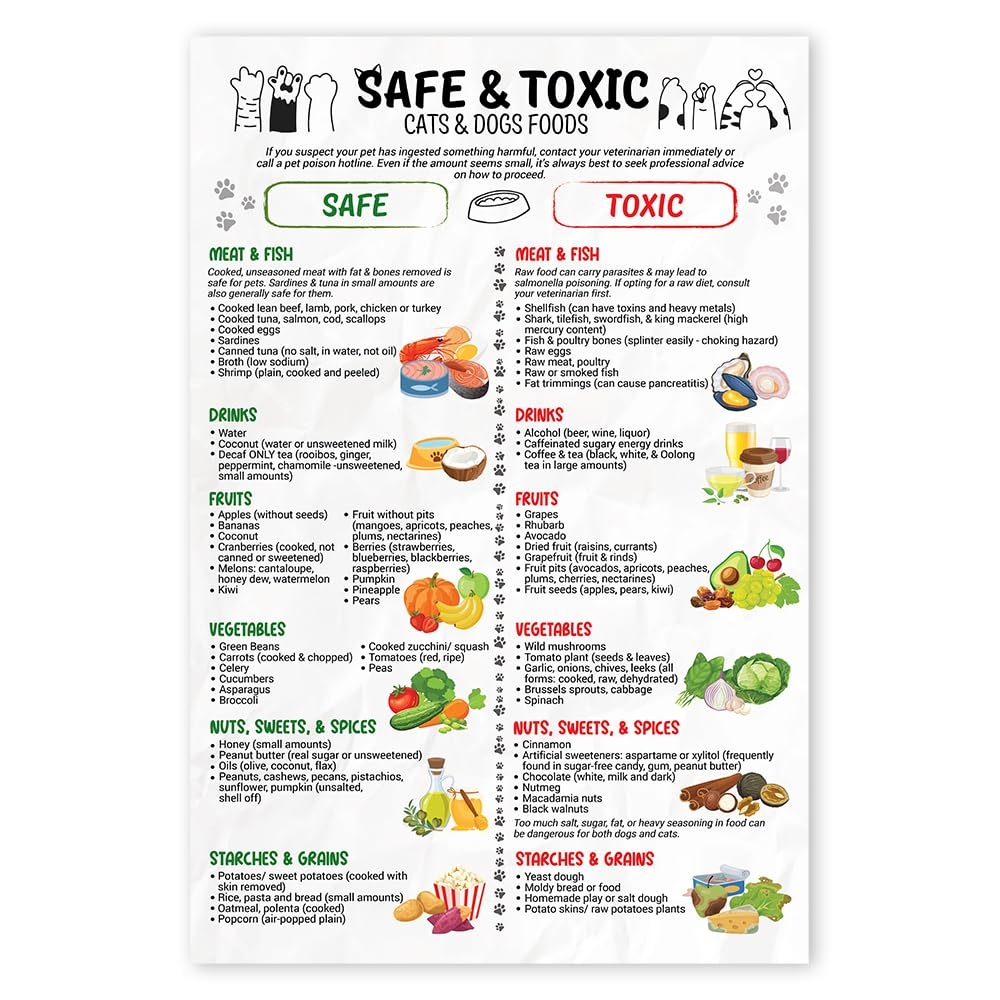 Amazon Safe And Toxic Foods For Dogs And Cats Poster 12 x18 Food Dog Cat Shouldn t Eat Ultimate Pet Health Guide Print List Of Foods Pet Can Eat Frame Not Included Paper 