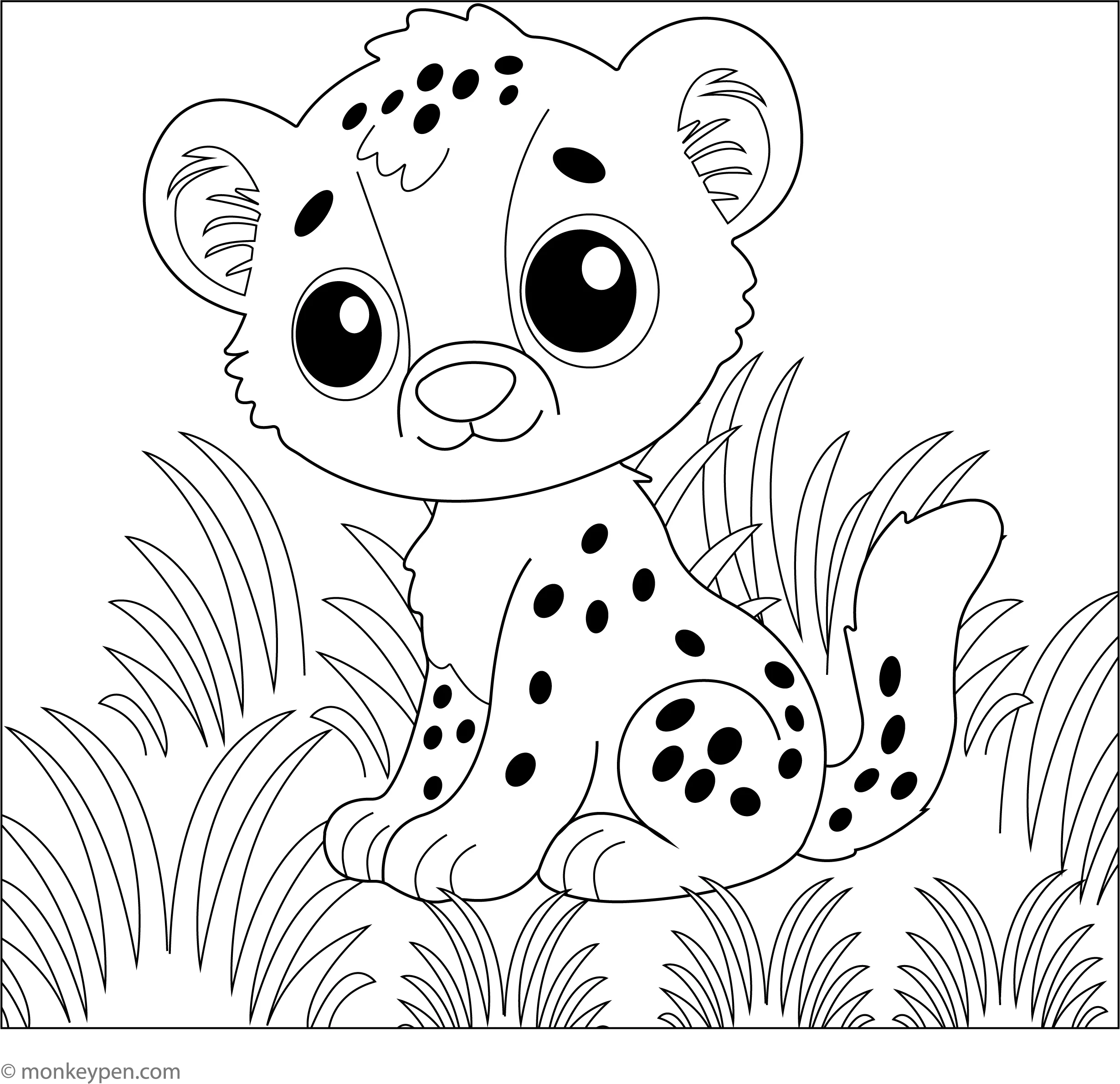 Baby Cheetah Sitting