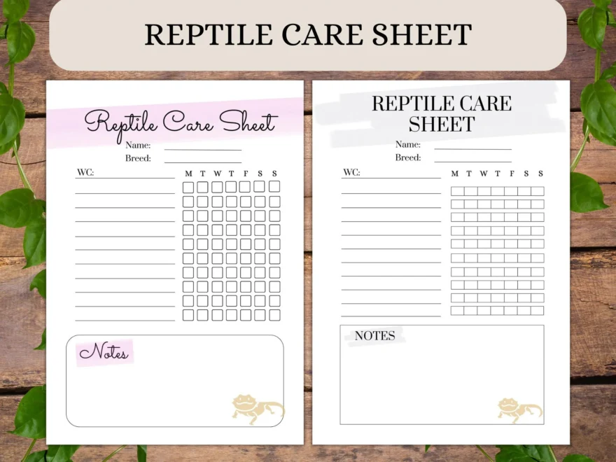 Bearded Dragon Care Sheet Printable Reptile Tracker Log A4 A5 Digital Download Pet Health Feeding Planner 2 Designs Etsy