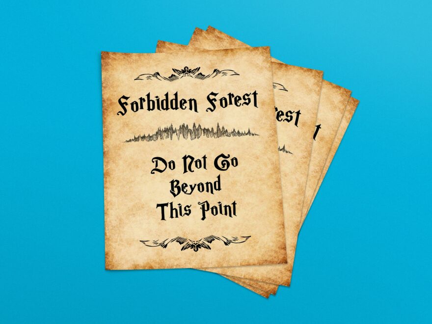 Buy Wizard Theme Forbidden Forest Do Not Go Beyond This Point Sign Digital Download Letter Size 8 5x11 Ledger Printable DIY Instant Download Online In India Etsy