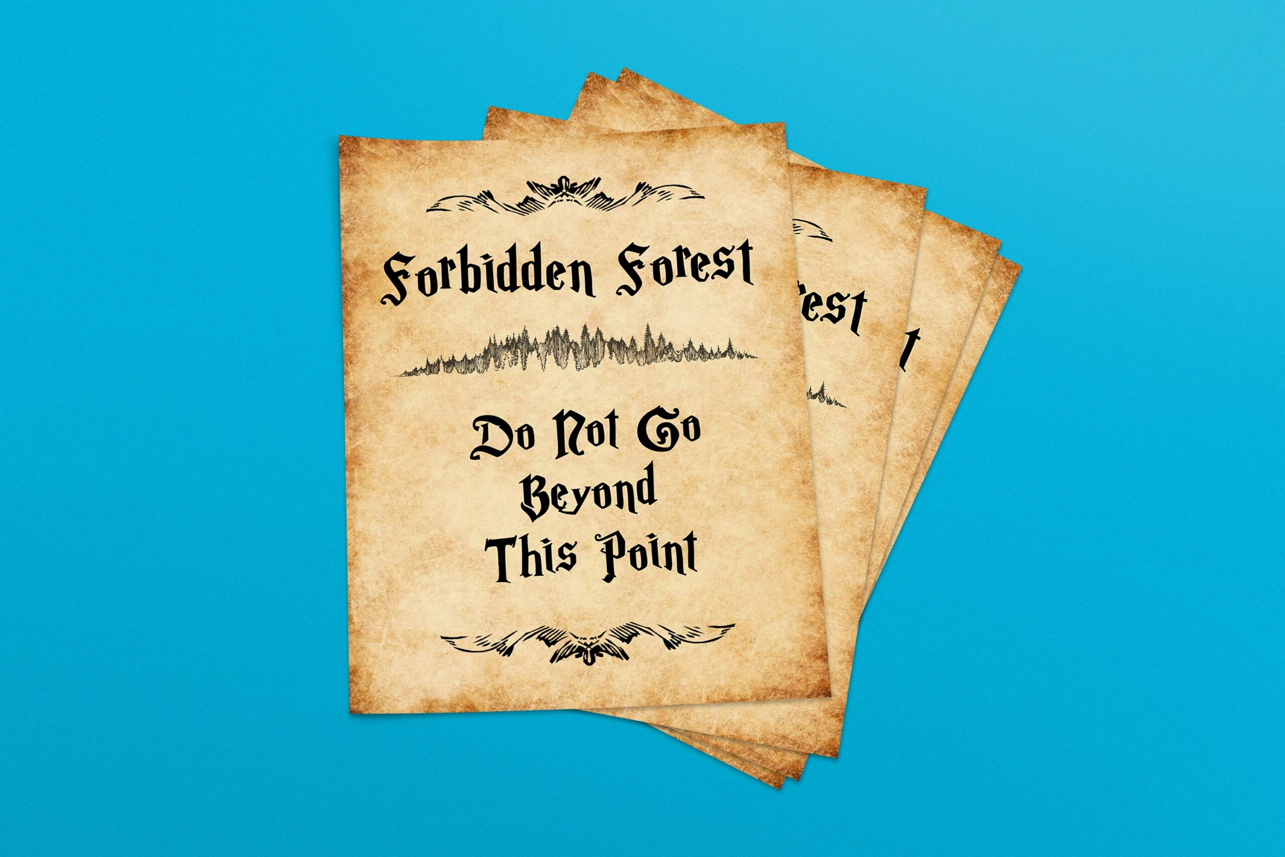 Buy Wizard Theme Forbidden Forest Do Not Go Beyond This Point Sign Digital Download Letter Size 8 5x11 Ledger Printable DIY Instant Download Online In India Etsy