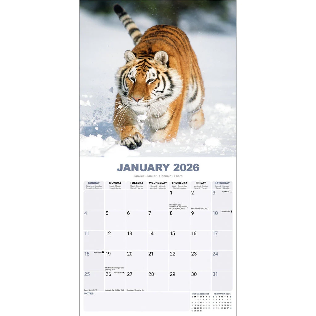Buying Tiger Calendar 2026 Order Online Quickly And Easily Buying Tiger Calendar 2026 Order Online Quickly And Easily