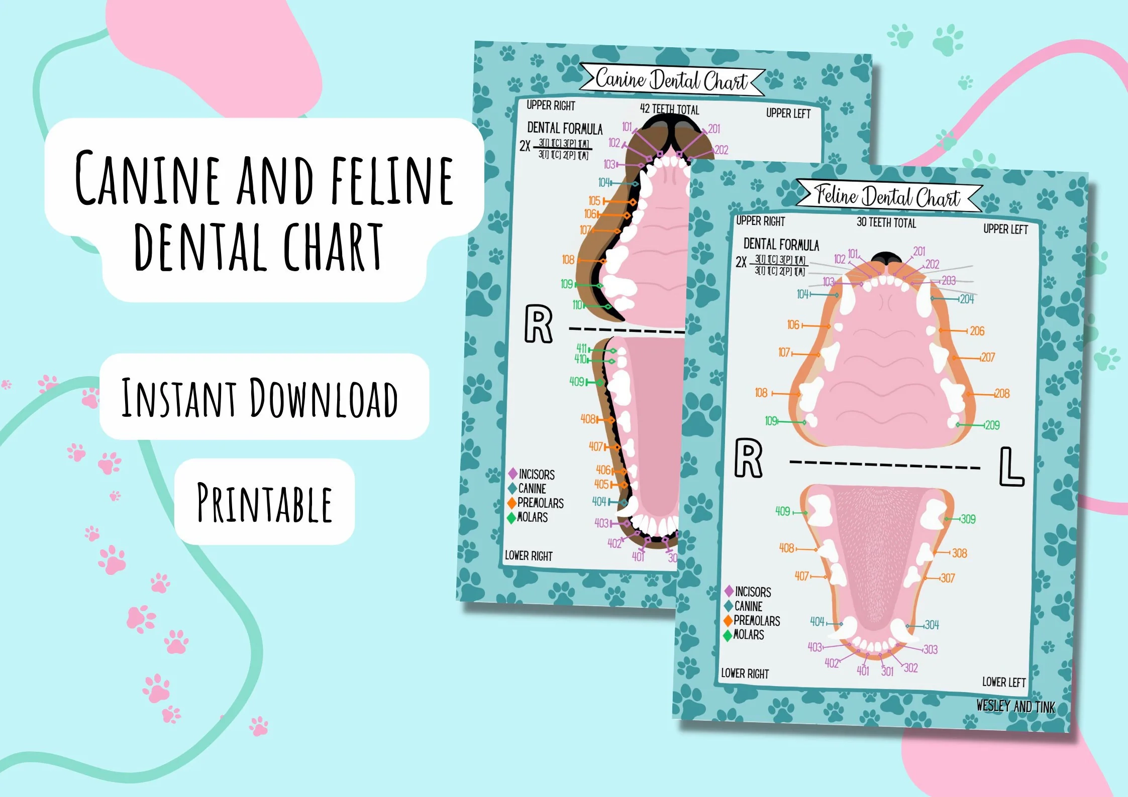 Printable Feline Dental Chart