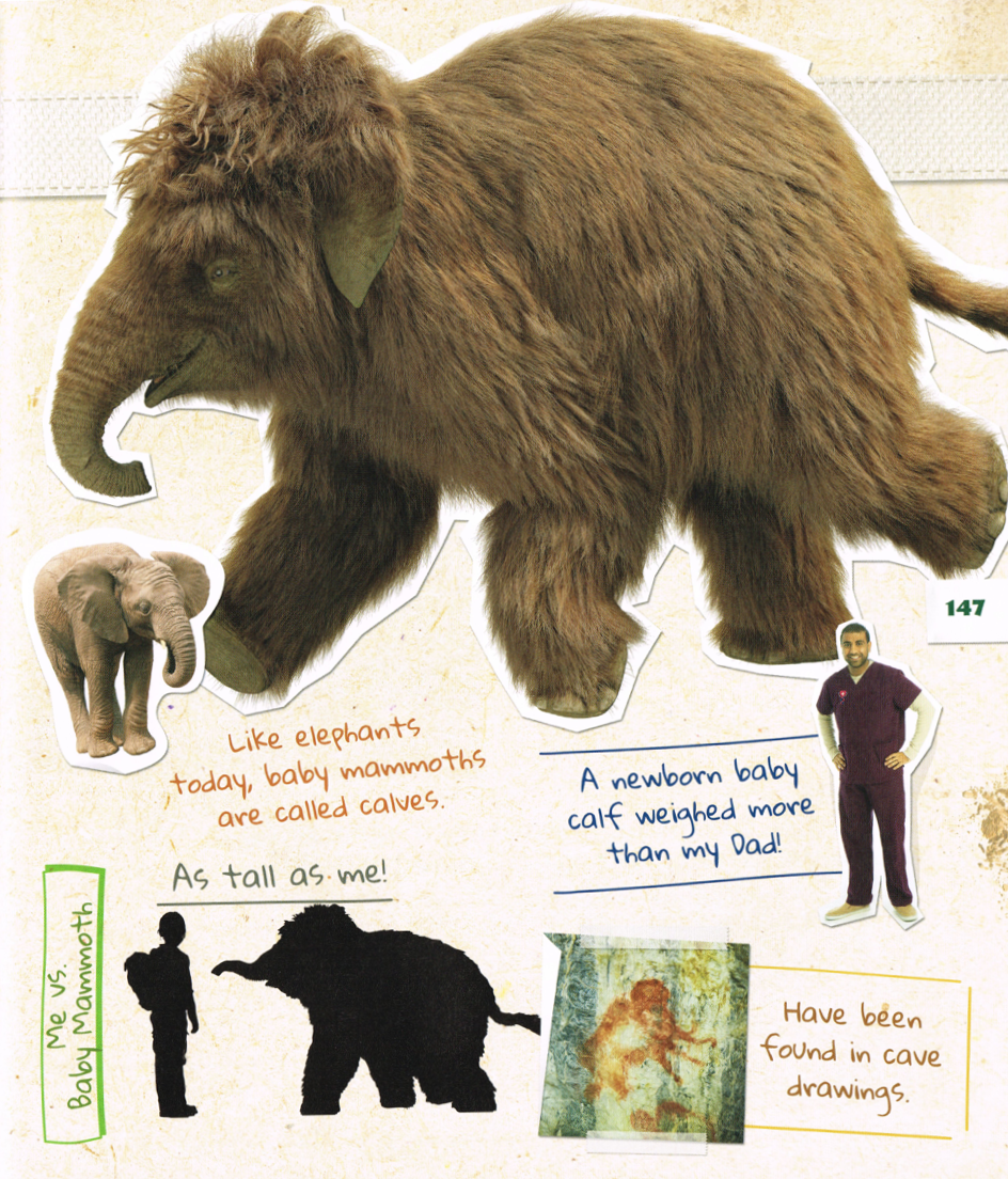 CanLit For LittleCanadians Dino Dana Dino Field Guides