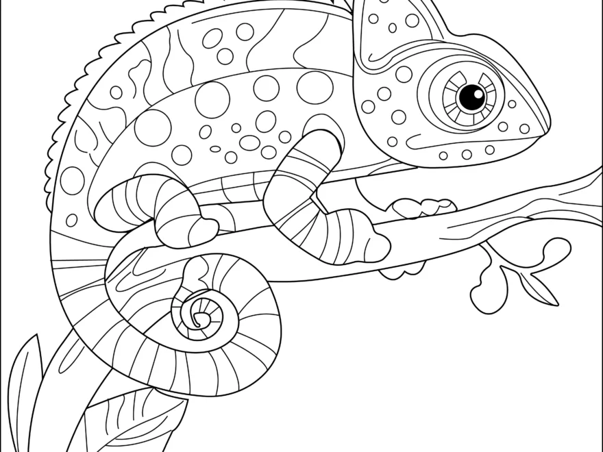 Chameleon On A Branch Coloring Page Free Printable For Kids