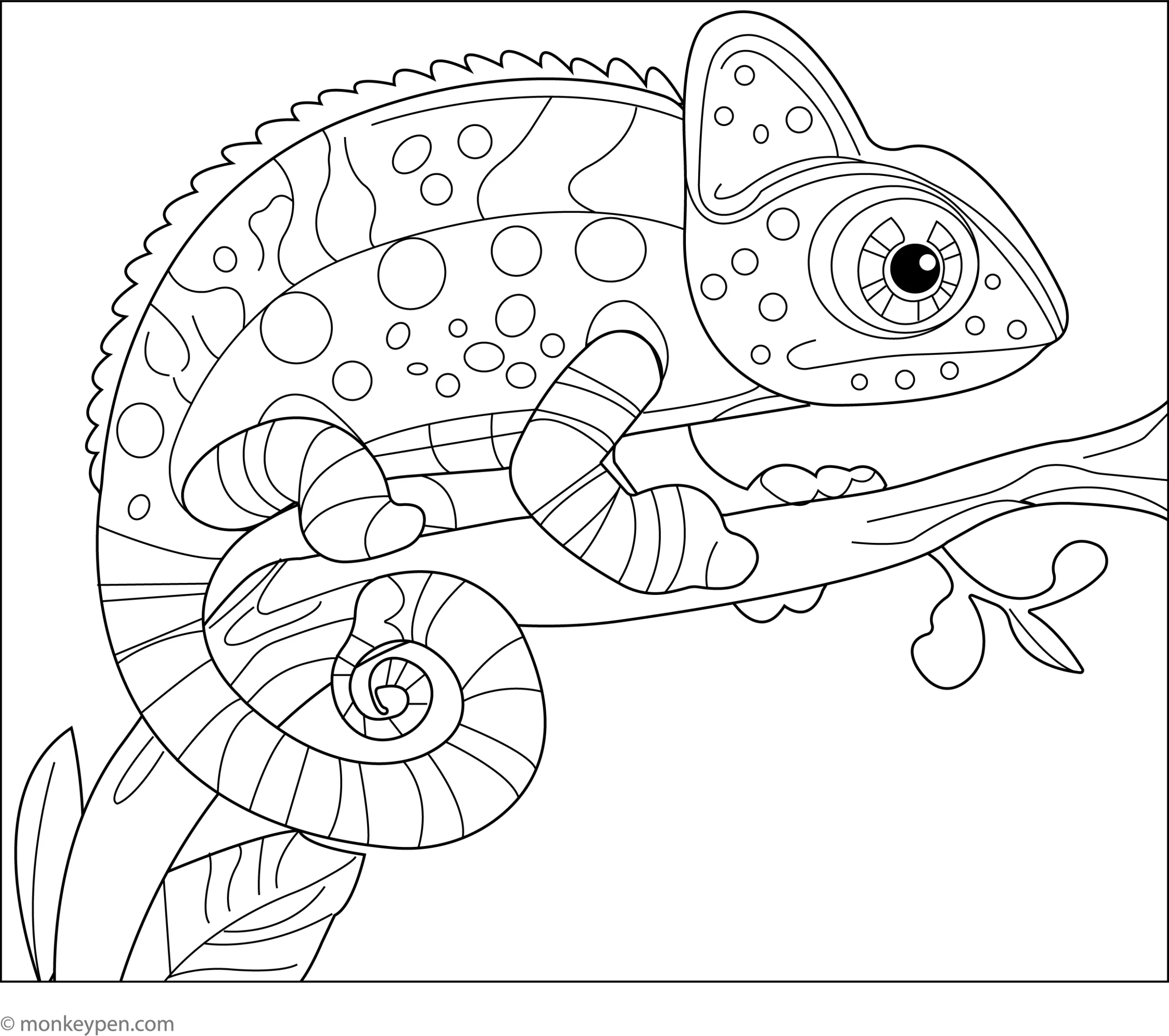 Chameleon On A Branch Coloring Page Free Printable For Kids