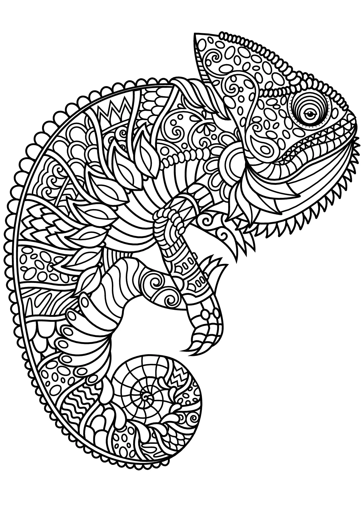 Chameleon With Complex And Beautiful Patterns Chameleons And Lizards Coloring Pages For Adults