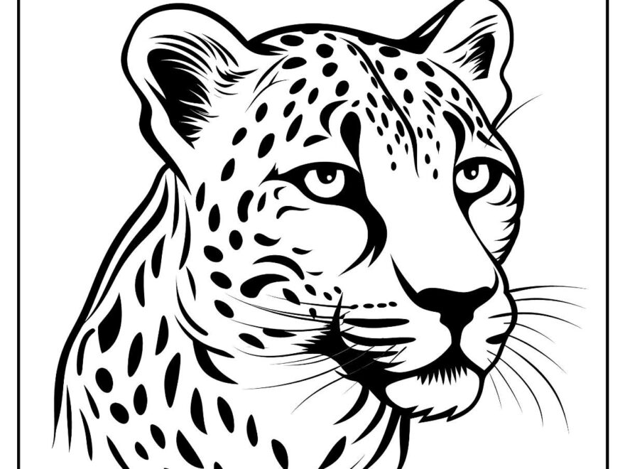Cheetah Coloring Pages Free Printable PDFs