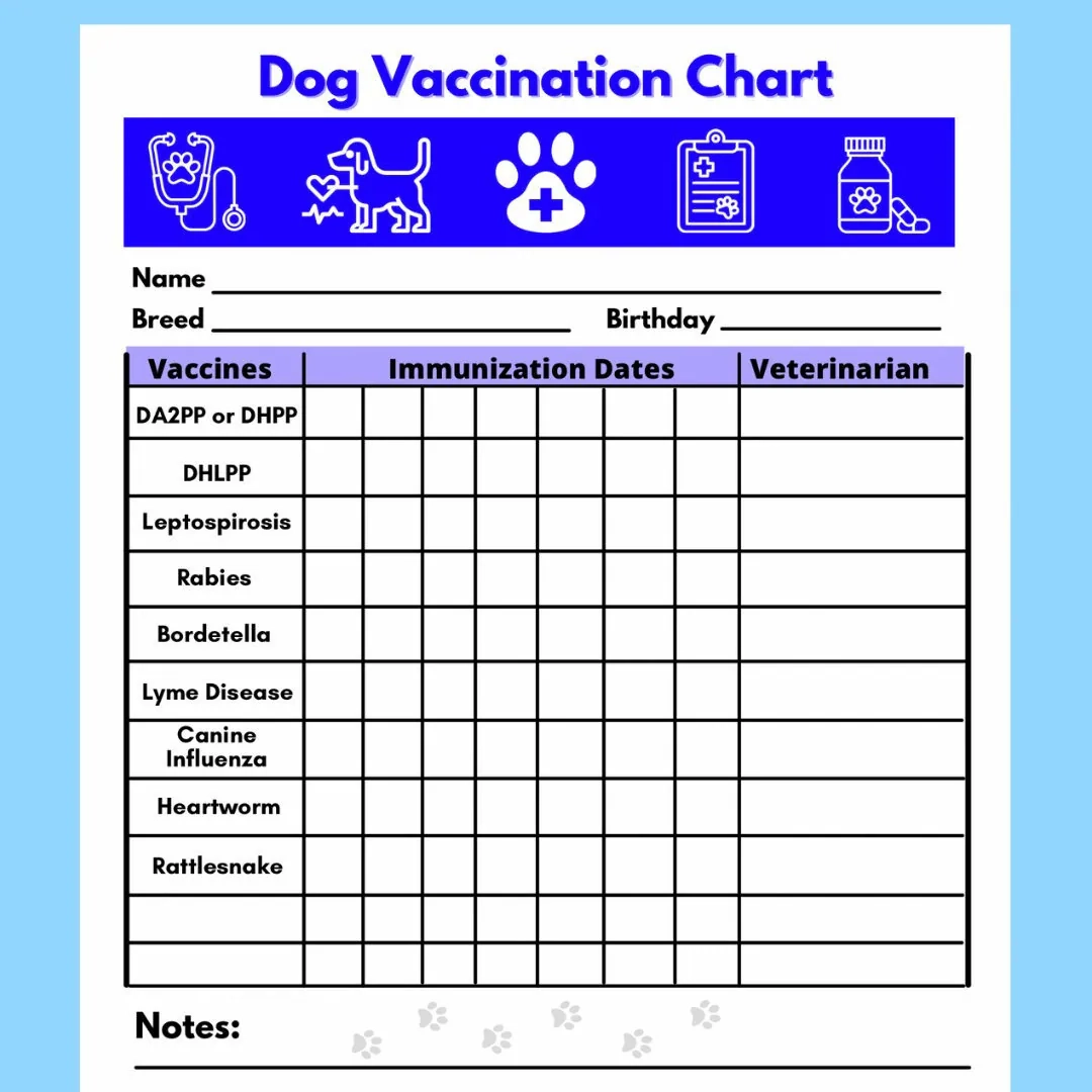 Dog Vaccine Printable Pet Printable Immunization Puppy Vaccinations Dog Health Digital Download Instant Download PDF Etsy