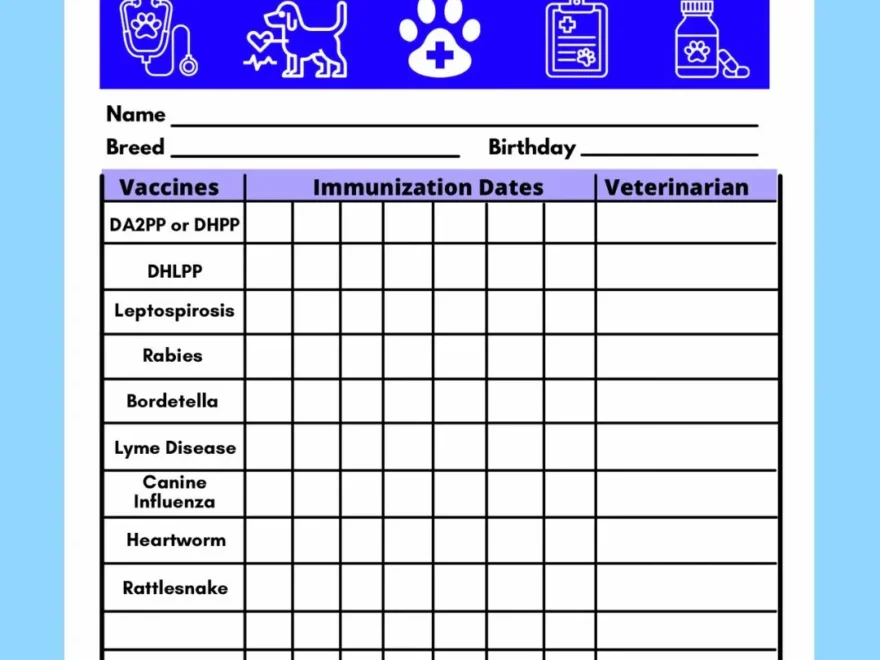 Dog Vaccine Printable Pet Printable Immunization Puppy Vaccinations Dog Health Digital Download Instant Download PDF Etsy