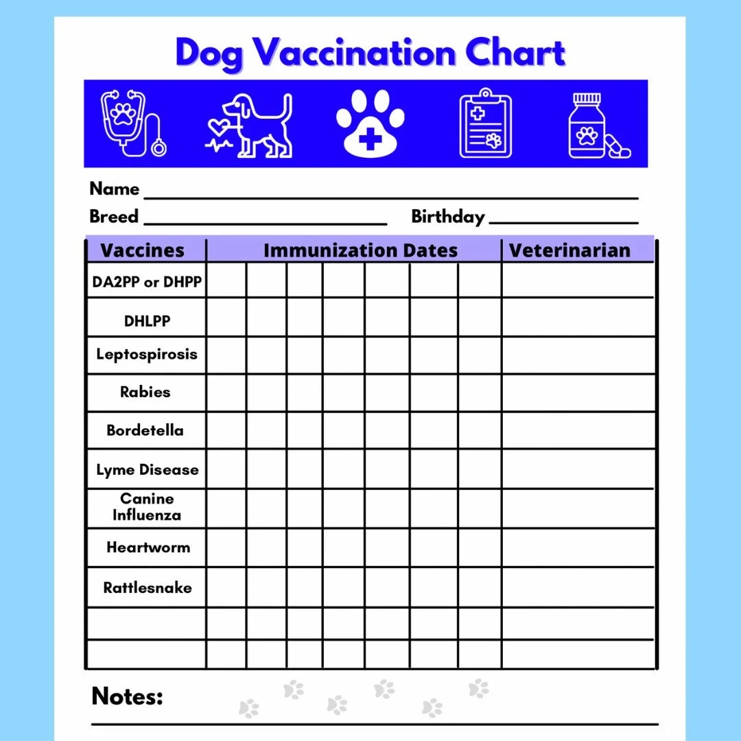 Dog Vaccine Printable Pet Printable Immunization Puppy Vaccinations Dog Health Digital Download Instant Download PDF Etsy
