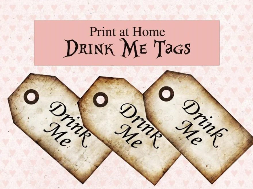 Drink Me Alice In Wonderland Gift Tags Digital Download Instant Wedding Favors Party Favours Etsy