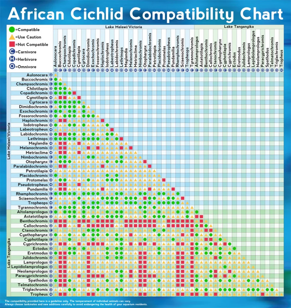 Freshwater Fish Compatibility Chart Printable Freshwater Fish Compatibility Chart Printable