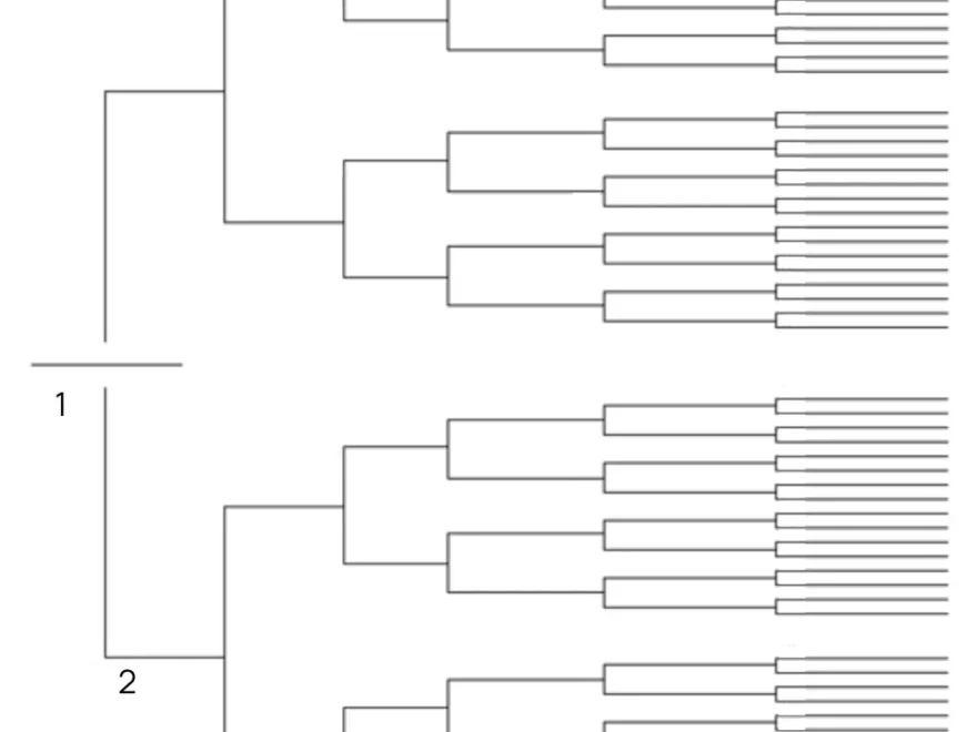 Free 7 Generation Family Tree Template For Google Docs