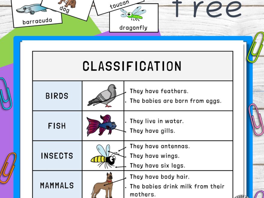 Free Animal Kingdom Classification Printable Professor Pepper