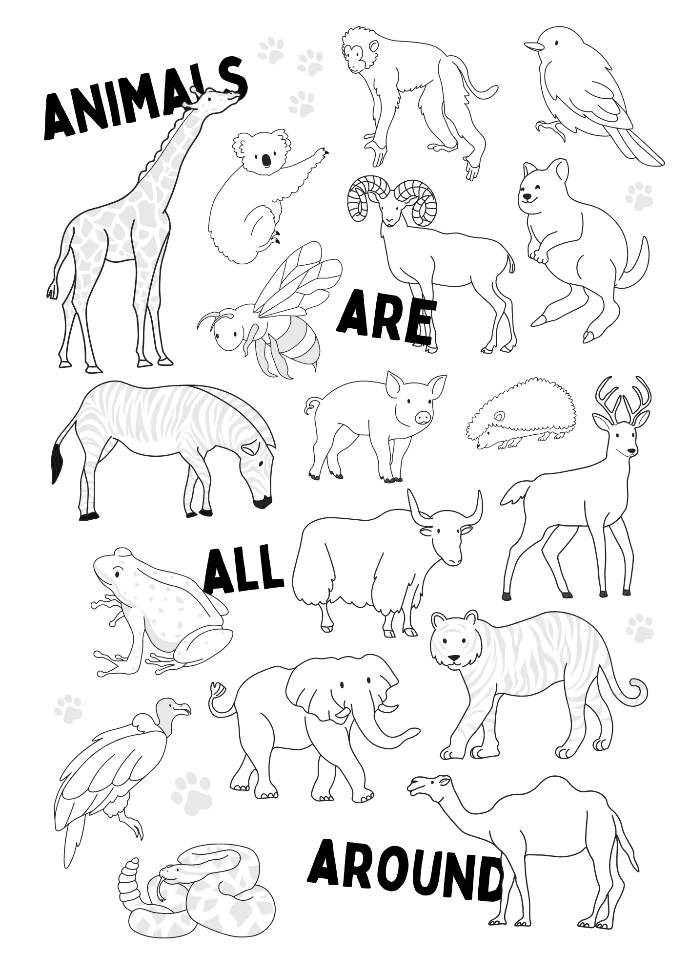 Animal Coloring Sheets Printable
