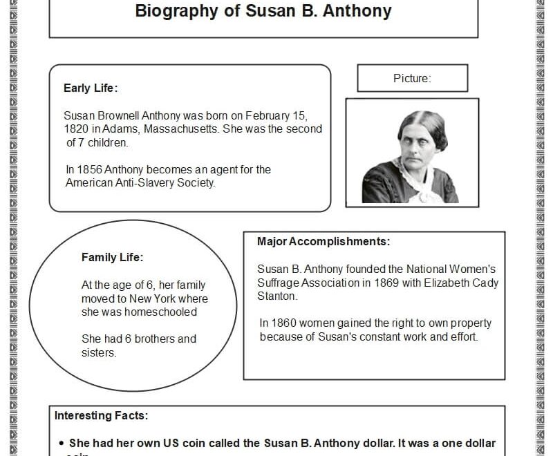 Free Editable Biography Graphic Organizer Examples EdrawMax Online