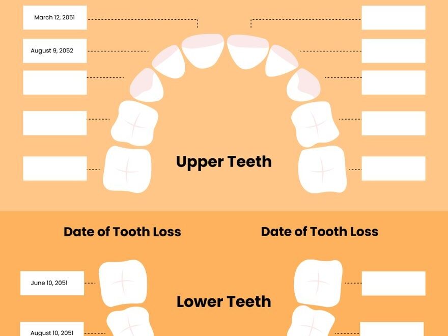 Free Lost Tooth Chart In Illustrator PDF Download Template