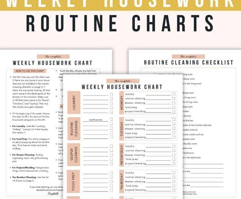 Free Printable Chore Chart For Adults And Cleaning Checklist