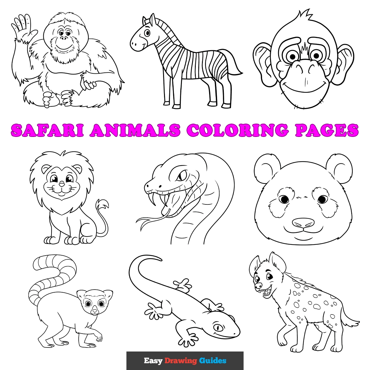 Printable Coloring Sheets For Kids Safari