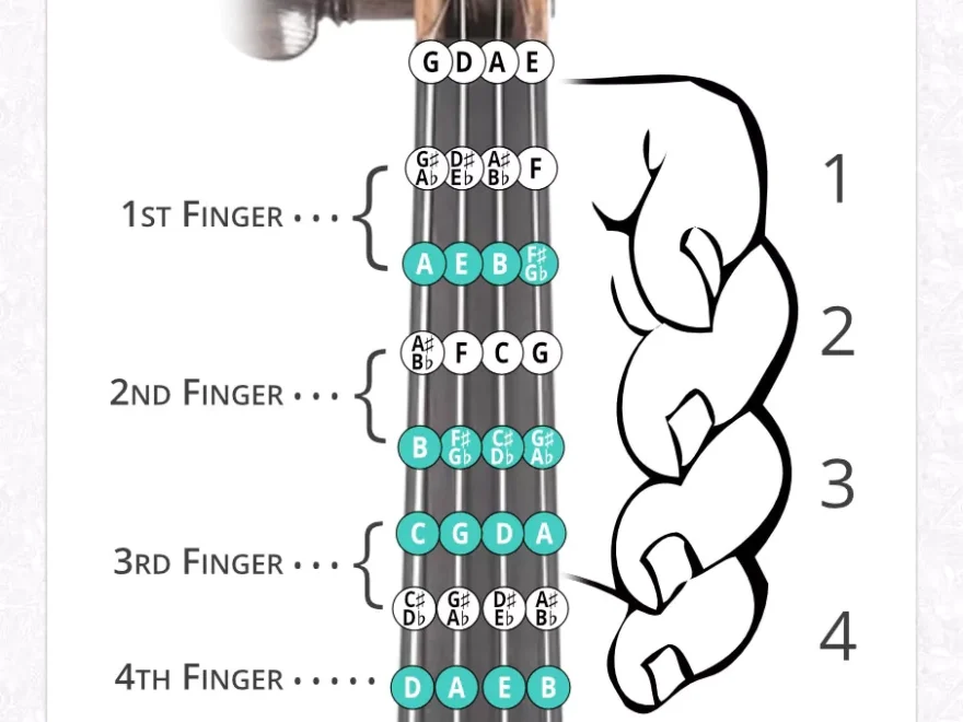 Free Violin Fingering Charts PDF Violinspiration