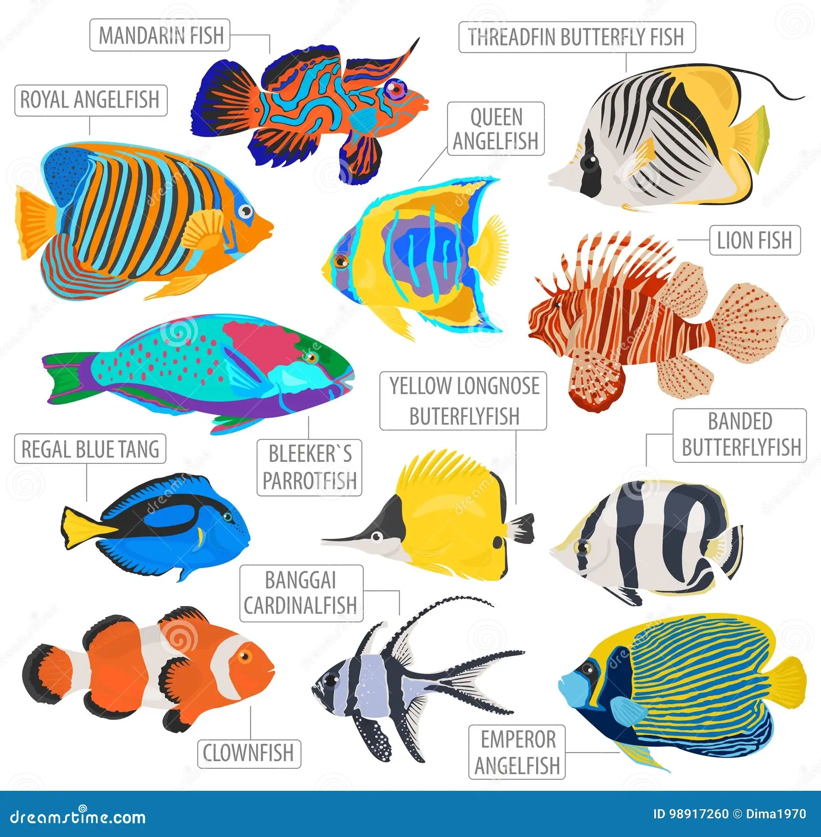 Printable Aquarium Fish Identification List