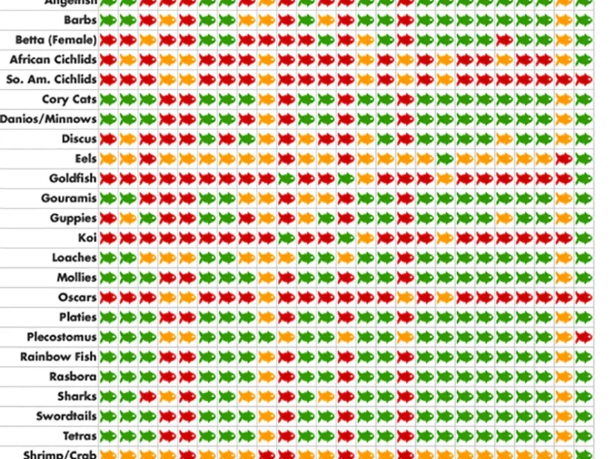 Freshwater Fish Compatibility Charts The IFISH Store