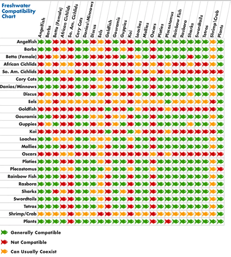Freshwater Fish Compatibility Charts The IFISH Store Freshwater Fish Compatibility Charts The IFISH Store