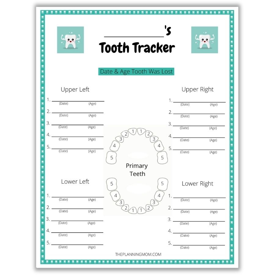 How To Track Your Child s Teeth The Planning Mom How To Track Your Child s Teeth The Planning Mom