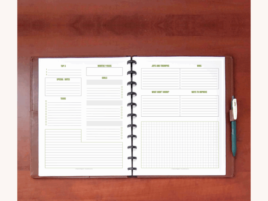 Jewel Tone Quarters Collection Scattered Squirrel