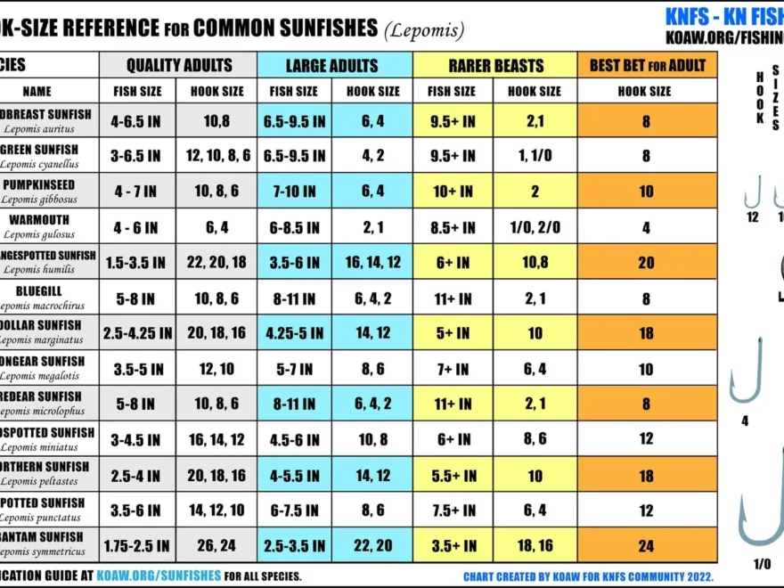 KNFS Free Hook Size Chart For Common Sunfishes Bluegill Longear Sunfish Green Sunfish Redear Sunfish And More Koaw Nature