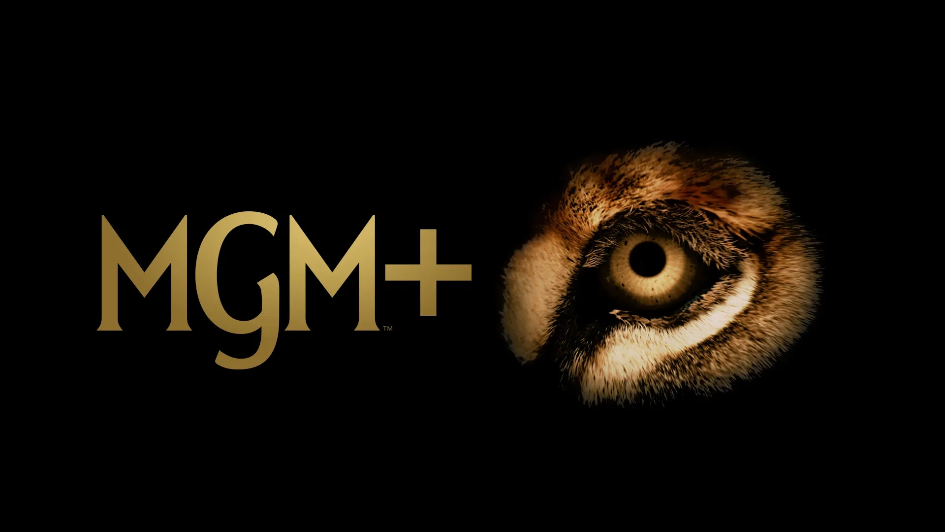 MGM International Amazon To Relaunch MGM Services In Europe