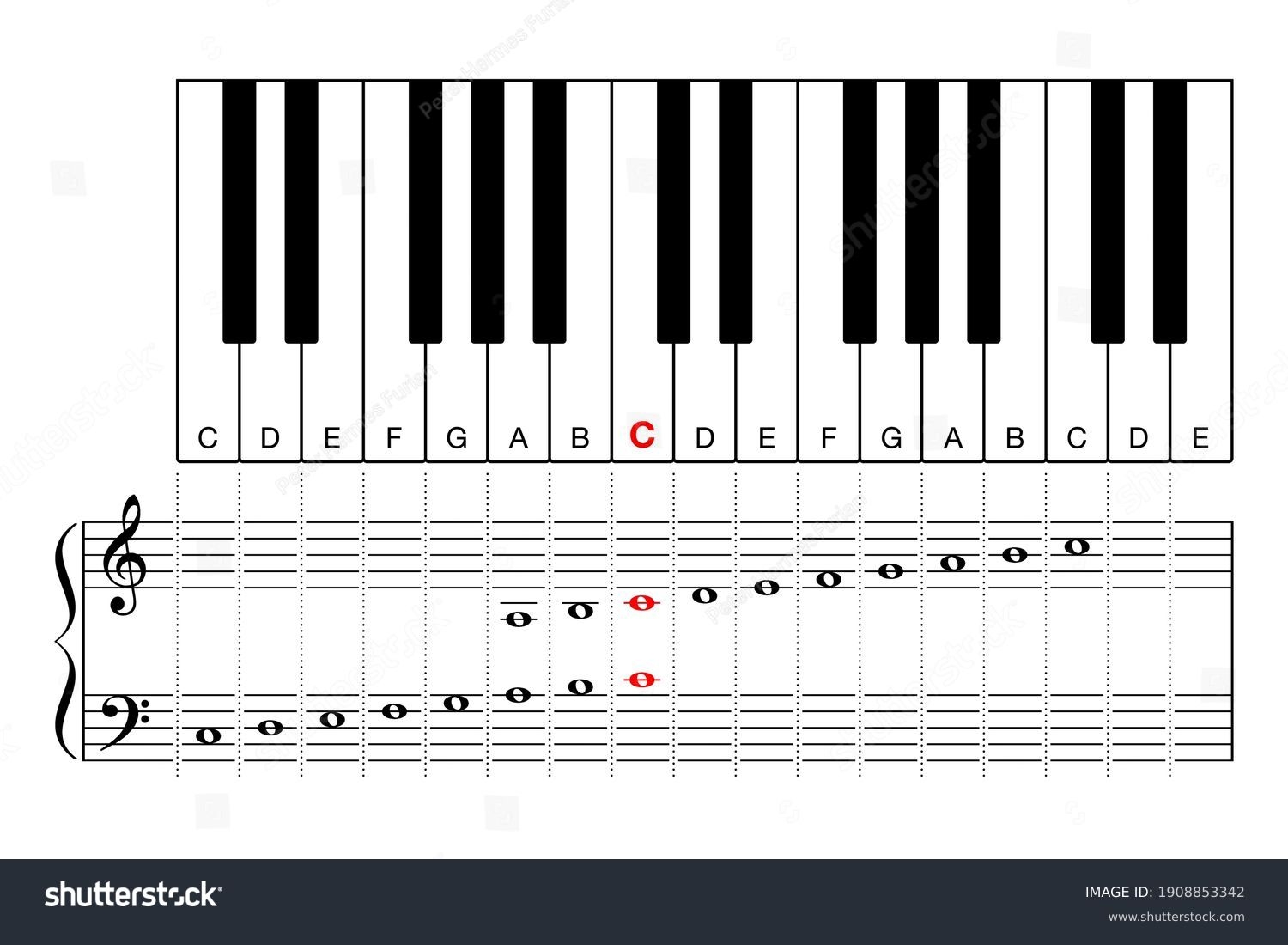 Middle C On Piano Keyboard Learning Stock Vector Royalty Free 1908853342 Shutterstock