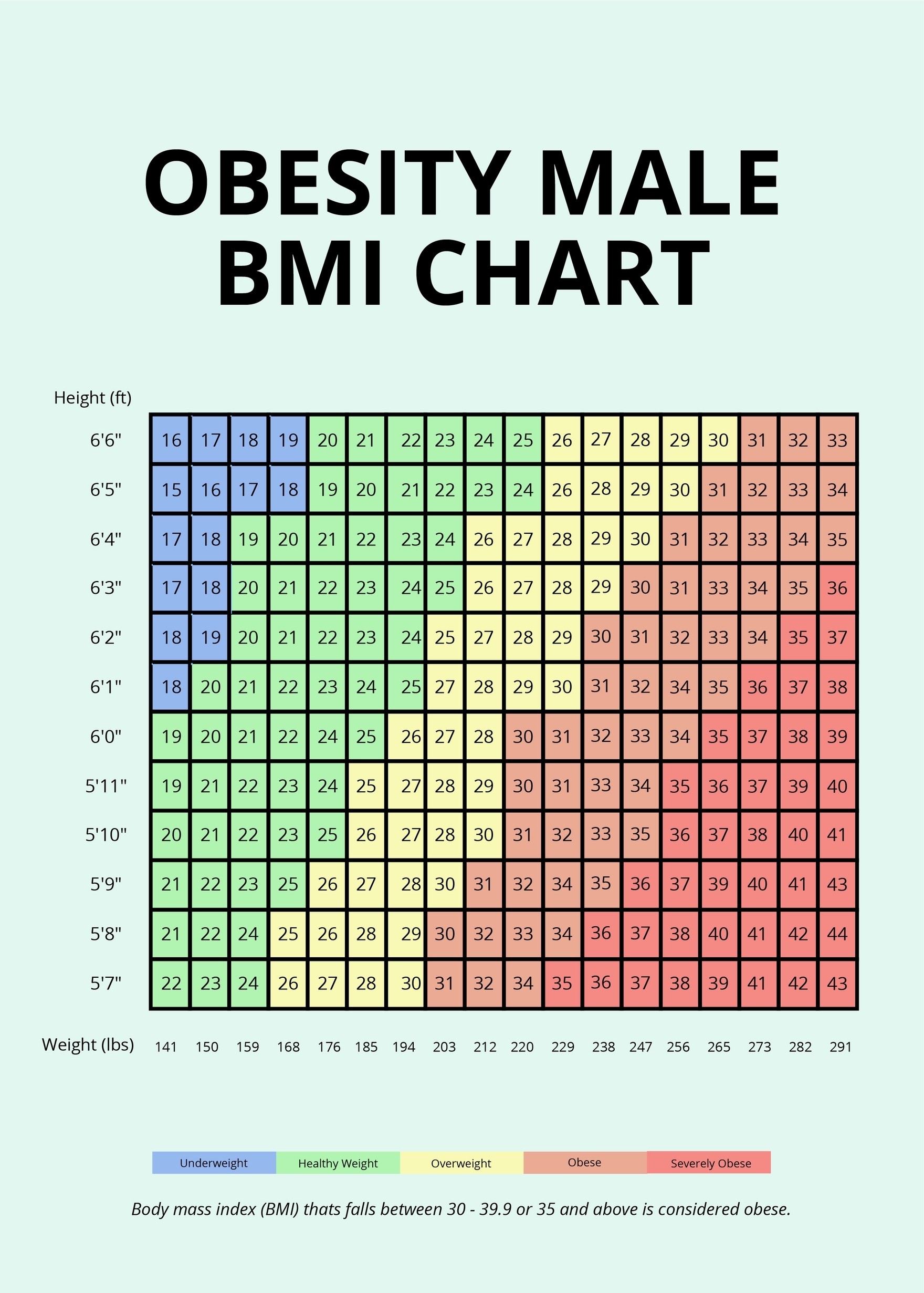 Obesity Male BMI Chart In PSD Illustrator Word PDF Download Template