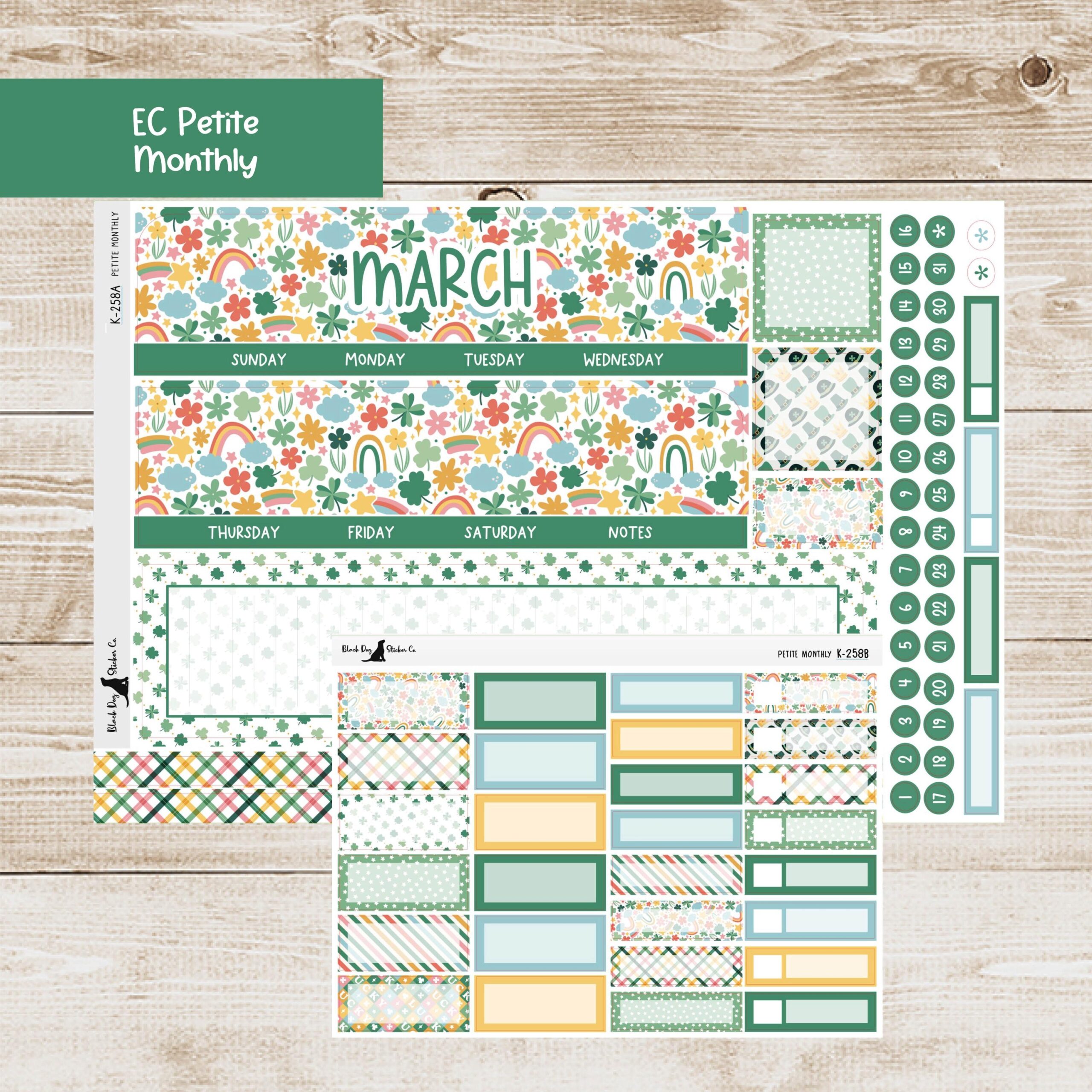 PET 258 Erin Condren Petite Monthly Kit March 2025 Lots Of Luck Planner Stickers Etsy