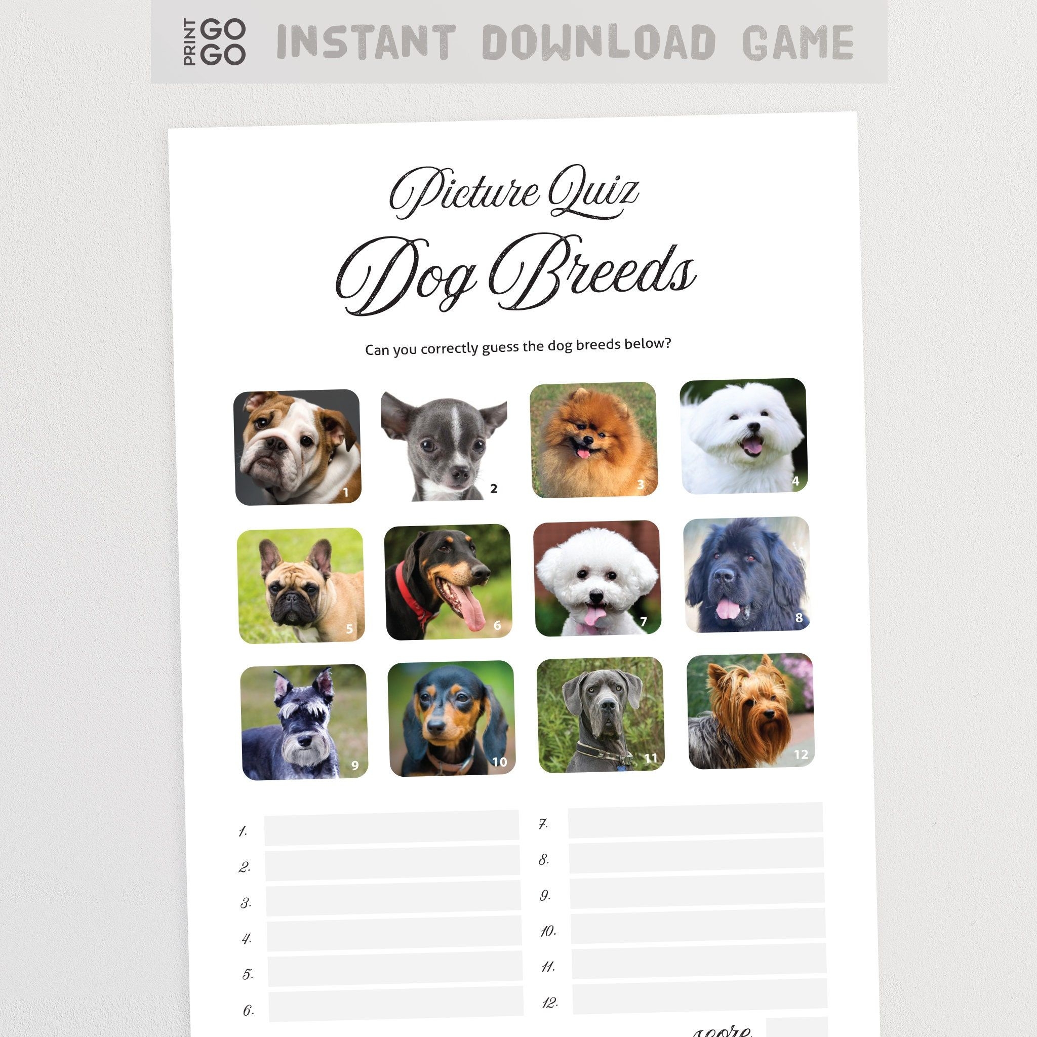 Dog Breed Picture Quiz Printable