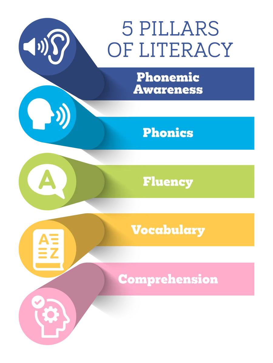 Pioneer Valley Books Your Trusted Literacy Partner For Over 25 Years