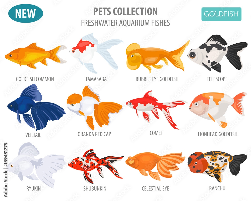 Aquarium Fish Printable Guide