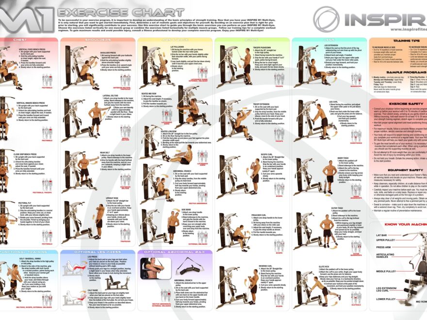 Printable Universal Gym Workout Gym Full Body Workout Plan Pdf At Home Printable Home Gym