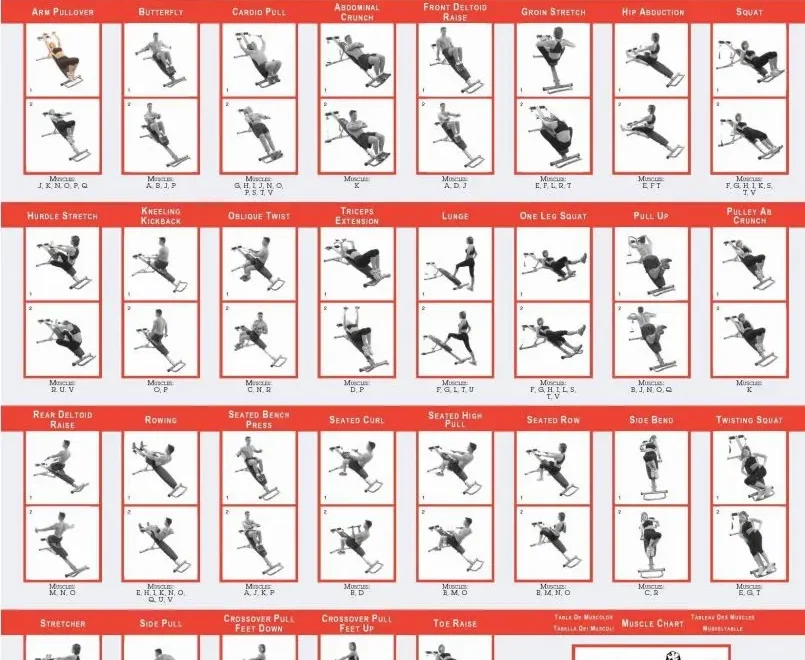 Printable Weider Ultimate Body Works Exercises PDF Download Full Descriptions Available This Is Why I m Fit