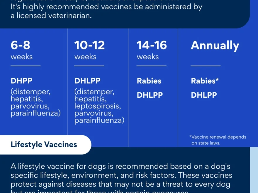 Puppy Vaccine Schedule A Guide To Puppy Shots Chewy