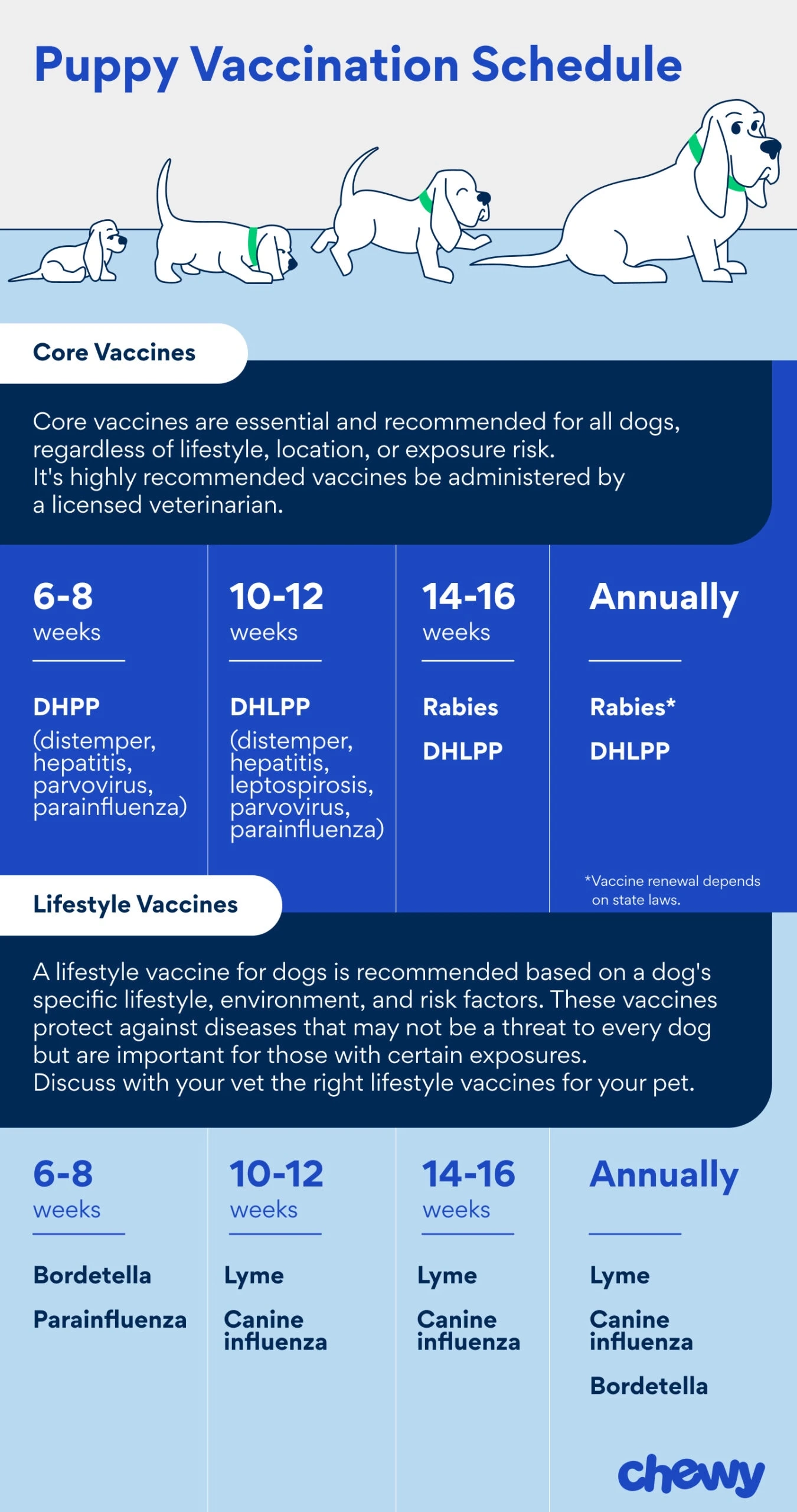 Dog Printable Vaccination Schedule